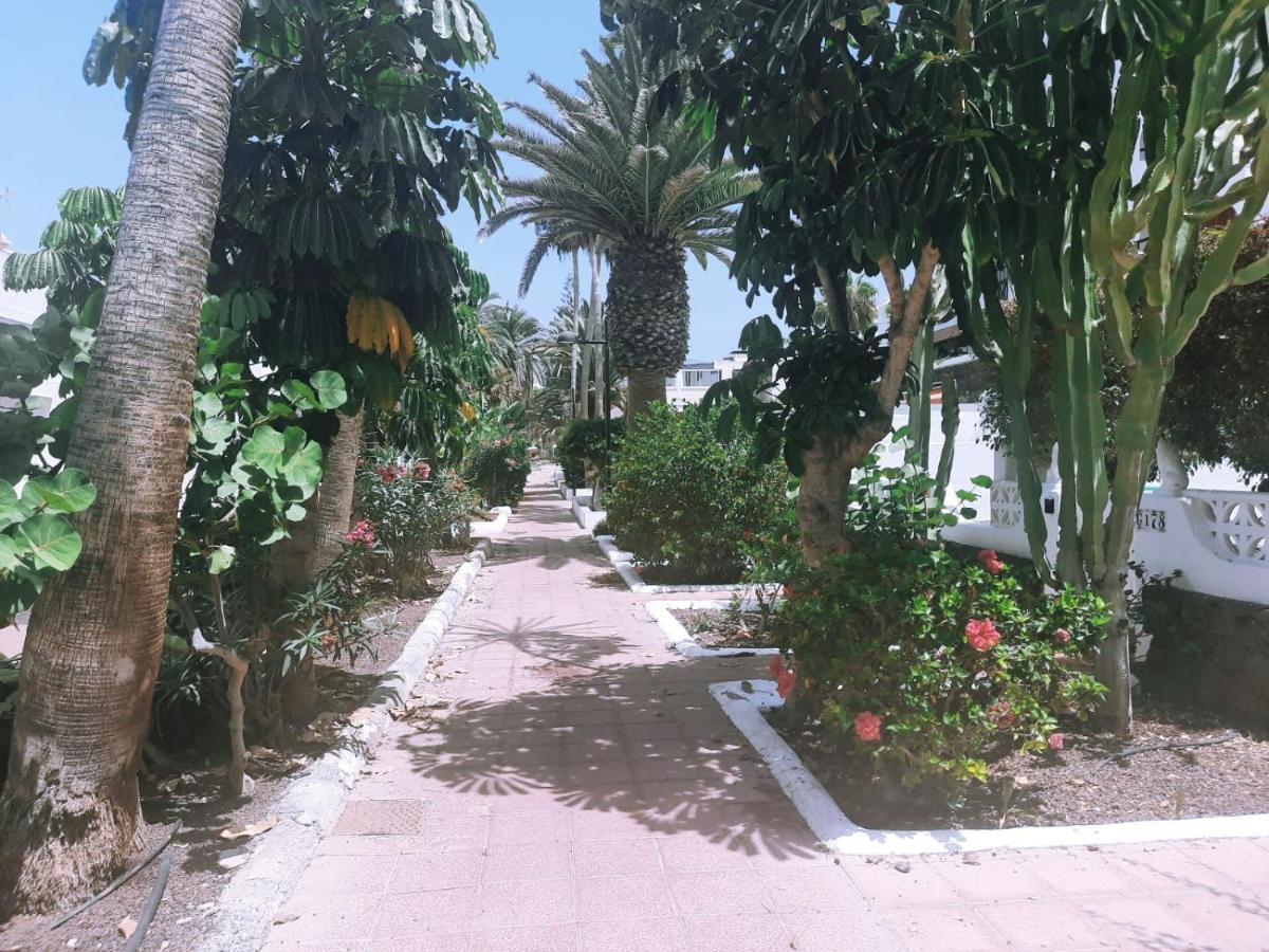 Parque Santiago 2 En Playa De Las Americas アロナ エクステリア 写真