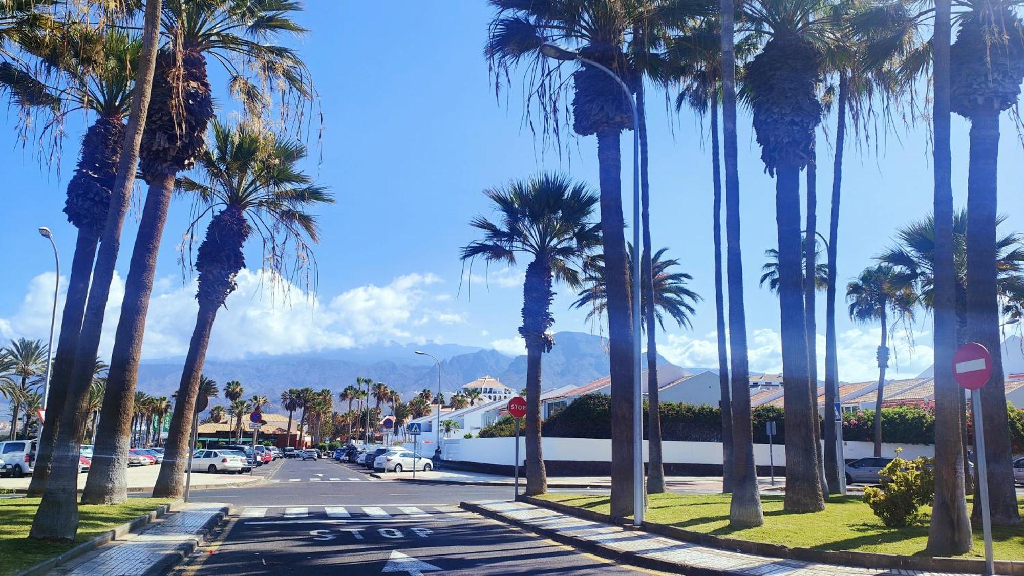 Parque Santiago 2 En Playa De Las Americas アロナ エクステリア 写真