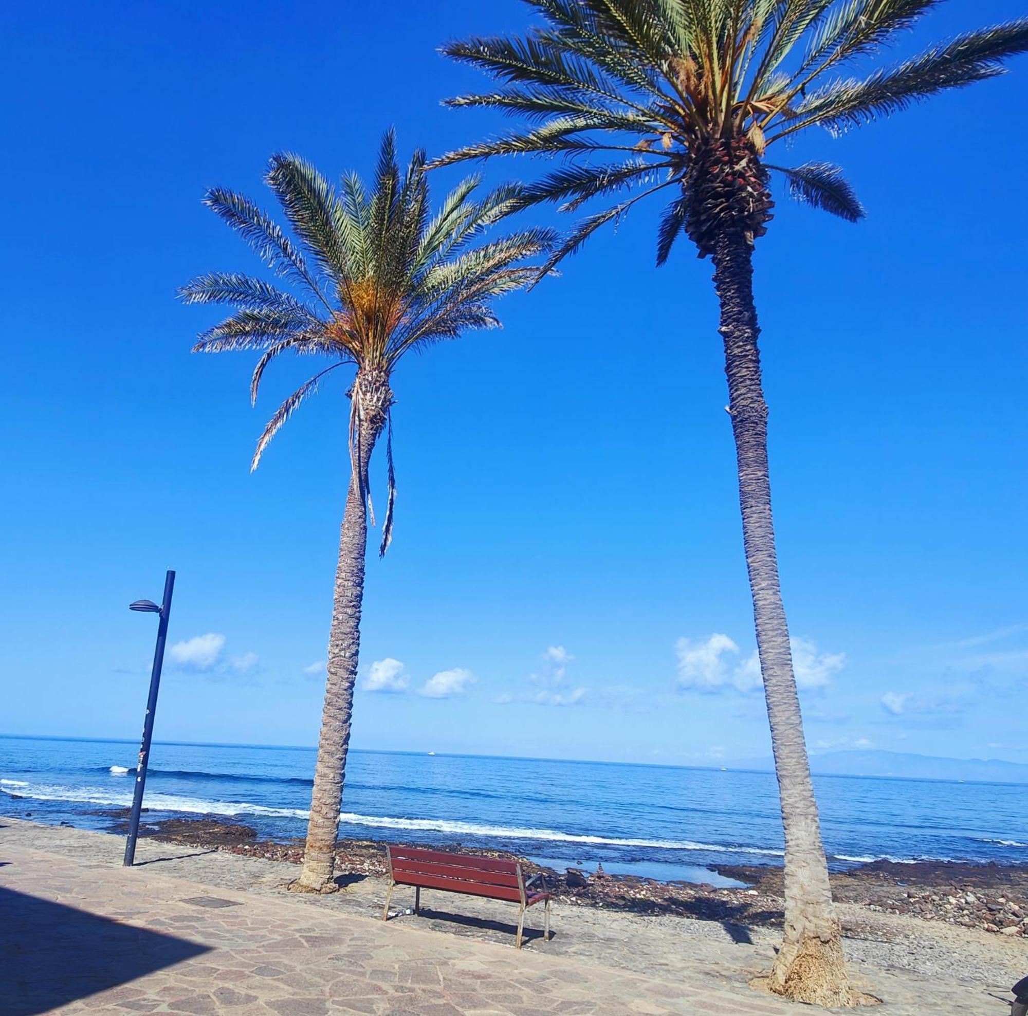 Parque Santiago 2 En Playa De Las Americas アロナ エクステリア 写真